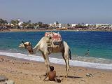 Sharm & Dahab - 059